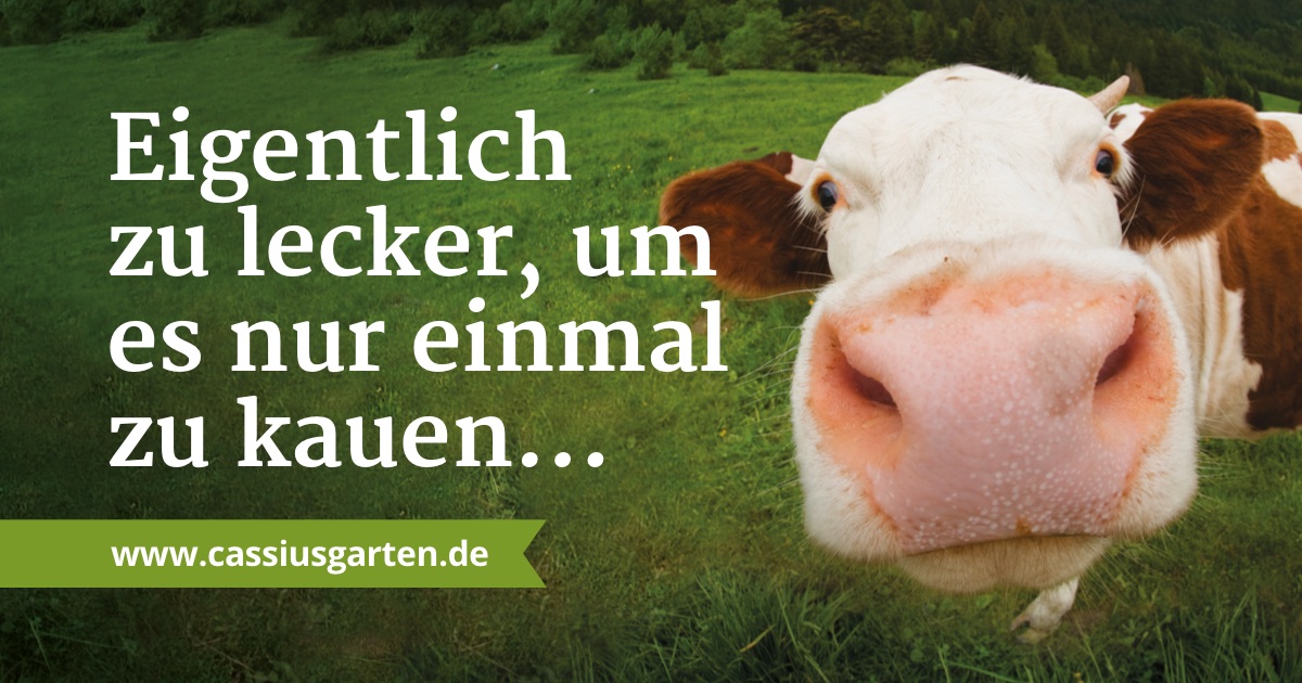 Bild von der Webseite von Cassius Garten Vollwert-Ernährung GmbH